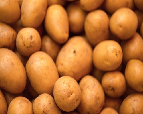 Raw organic potatoes